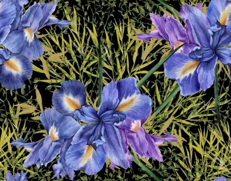 Background of iris flowers with foliage. Seamless pattern. watercolor illustr Stock Illustration