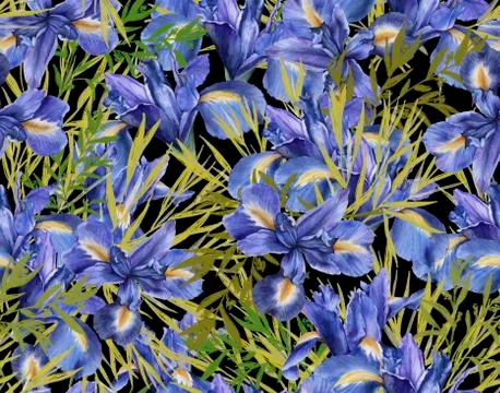 Background of iris flowers with foliage. Seamless pattern. watercolor illustr Stock Illustration