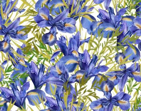Background of iris flowers with foliage. Seamless pattern. watercolor illustr Stock Illustration