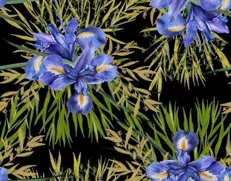 Background of iris flowers with foliage. Seamless pattern. watercolor illustr Stock Illustration