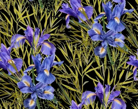Background of iris flowers with foliage. Seamless pattern. watercolor illustr Stock Illustration
