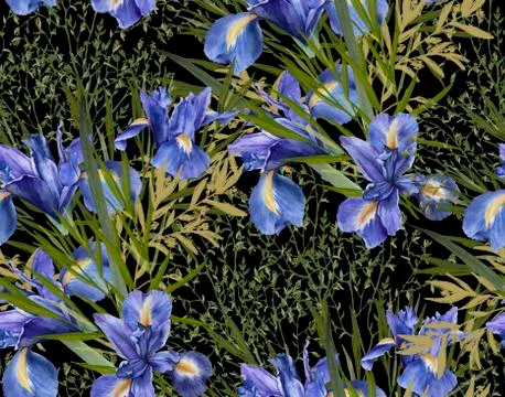 Background of iris flowers with foliage. Seamless pattern. watercolor illustr Stock Illustration