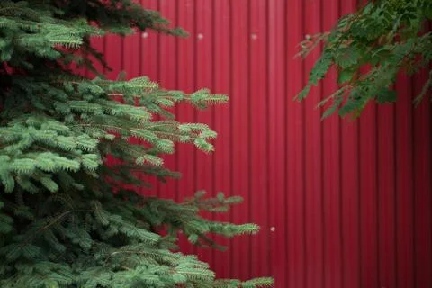 Background of iron red leaves. example of a simple fencing Stock Photos