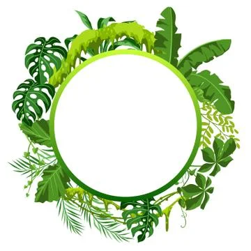 Background with jungle plants. Stock Illustration