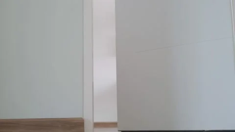 Background for kids play Teddy bear, brown hair standing behind the wall. Hid Stock Footage 141293978