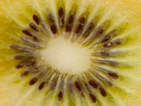 Background from a kiwi core Stock Photos