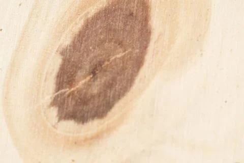Background  Knot in the wood Stock Photos