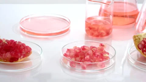 Background laboratory research and development with pomegranate extr Stock Footage 161067348
