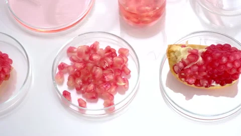 Background laboratory research and development with pomegranate extr Stock Footage 161068083