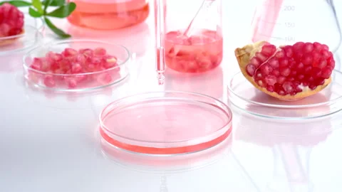 Background laboratory research and development with pomegranate extr Stock Footage 161068379