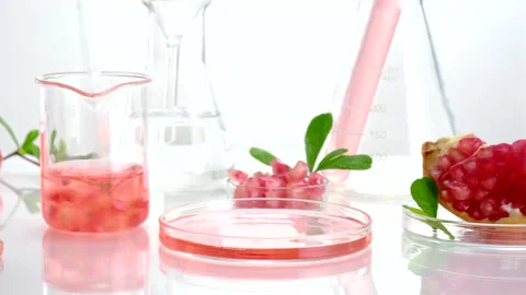 Background laboratory research and development with pomegranate extr Stock Footage 161069332