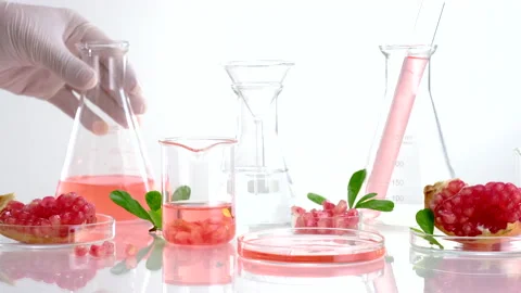 Background laboratory research and development with pomegranate extr Stock Footage 161070492