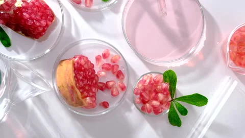 Background laboratory research and development with pomegranate extr Stock Footage 161071483
