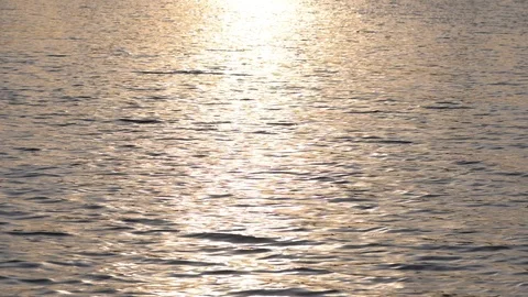 Background of lake water surface with ripples and sunlight at sunset or sunrise. Vídeos de archivo 125828519