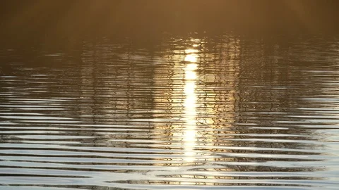 Background of lake water surface with ripples and sunlight at sunset Video stock 127095448