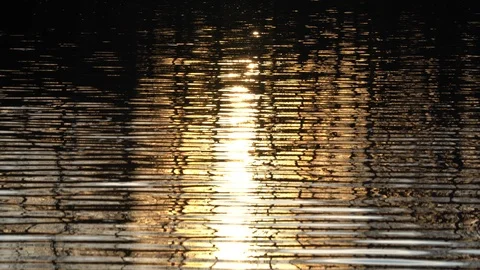 Background of lake water surface with ripples and sunlight at sunset Video stock 127095514