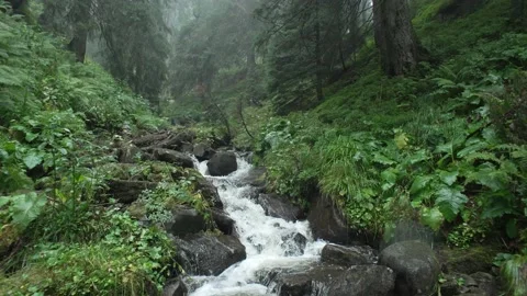 Background landscape of a mountain river in the forest. Stock Footage 228872720
