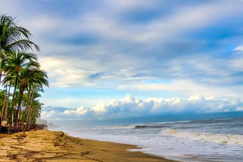 Background landscape with palm trees clouds sea and blue sky Stock Photos