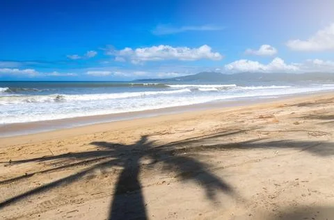 Background landscape with palm trees clouds sea and blue sky Foto stock