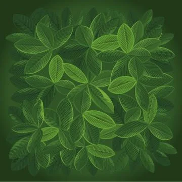 Background large leaves. Top view. Stock-Illustration