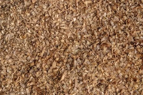 Background from large sawdust. Stock Photos