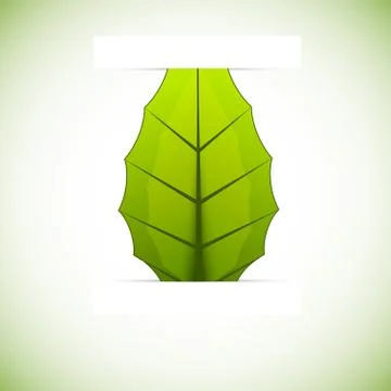Background with leaf Stock Illustration