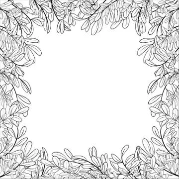 Background, leaves, contours Stock Illustration