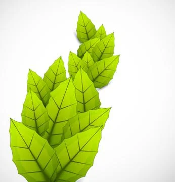 Background with leaves Stock Illustration