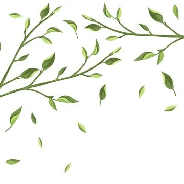 Background with leaves. Spring or summer stylized foliage. イラスト素材
