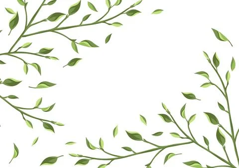 Background with leaves. Spring or summer stylized foliage. イラスト素材