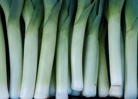 Background Of Leeks Foto stock