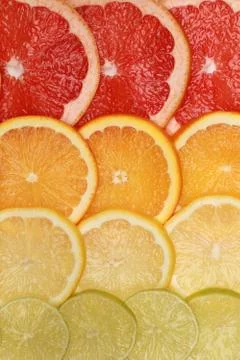 Background from lemons, oranges, grapefruits and limes Stock Photos