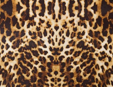 Background with leopard texture Stock Photos