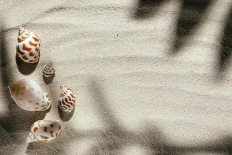 Background of light beach sand with space for text. Foto stock