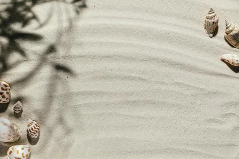 Background of light beach sand with space for text. Stock Photos