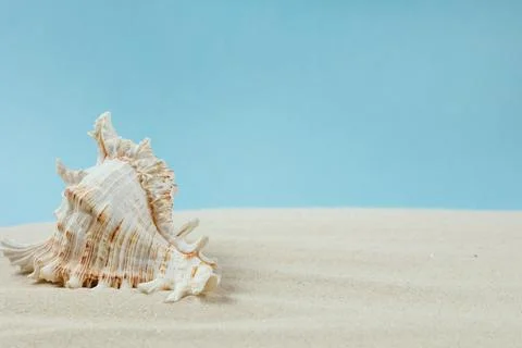 Background of light beach sand with space for text. Stock Photos