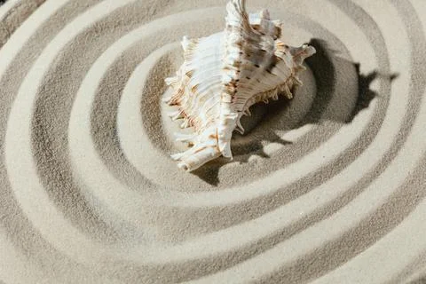 Background of light beach sand with space for text. Stock Photos