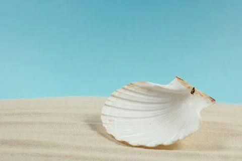 Background of light beach sand with space for text. Stock Photos