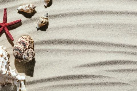 Background of light beach sand with space for text. Stock Photos