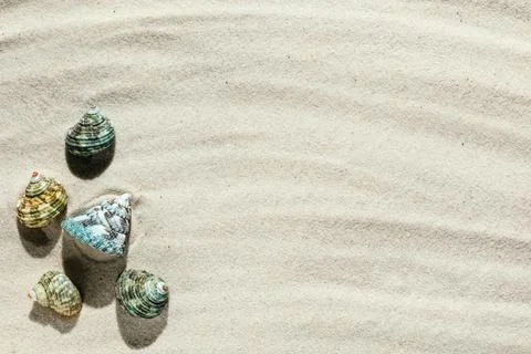 Background of light beach sand with space for text. Stock Photos