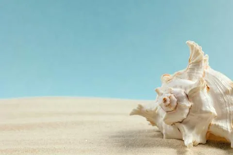 Background of light beach sand with space for text. Foto stock