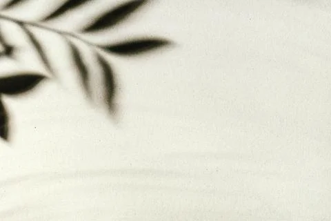 Background of light beach sand with space for text. Stock Photos