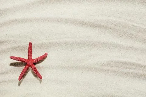 Background of light beach sand with space for text. Stock Photos