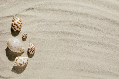 Background of light beach sand with space for text. Stock Photos