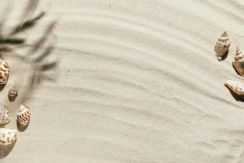 Background of light beach sand with space for text. Stock Photos