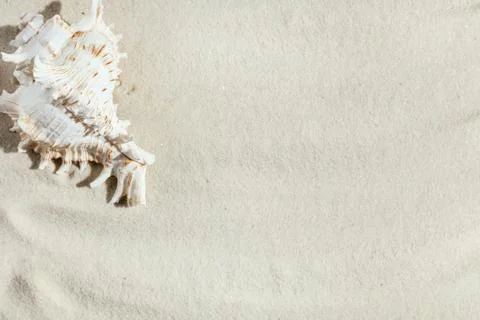 Background of light beach sand with space for text. Stock Photos