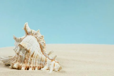 Background of light beach sand with space for text. Stock Photos