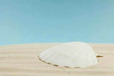 Background of light beach sand with space for text. Stock Photos