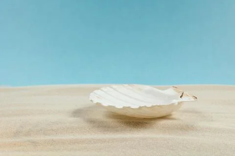 Background of light beach sand with space for text. Stock Photos
