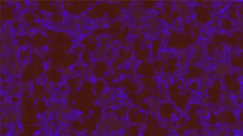 Background Light Motion Design Video Modern Abstract Pattern Animation Texture Video stock 282770024